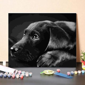 Fekete Labrador - számfestő készlet